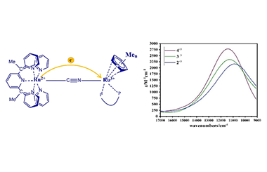 Syntheses and Characterizations of Cyanido-bridged Dinuclear Ru-complexes and Their MMCT Properties in the One-electron Oxidation State 2011-3147